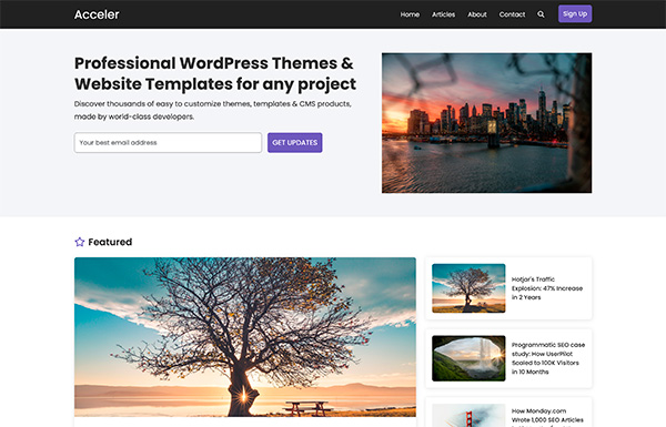 Acceler Theme